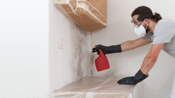 Professional Crawl Space Mold Removal technician working in Dover, NJ
