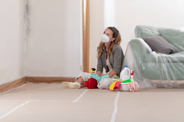 Reliable Crawl Space Mold Removal contractor in Dover, NJ by WQB Mold Removal